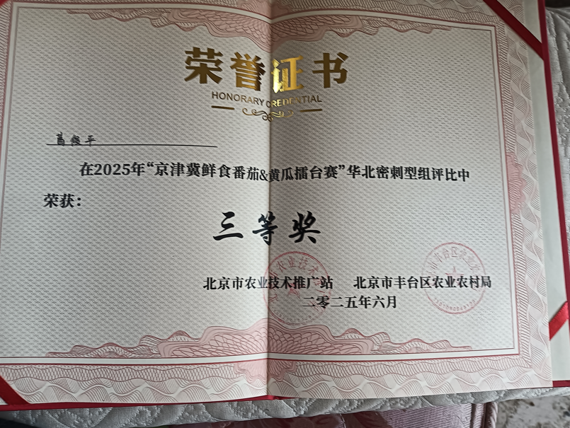 1750649255861.png