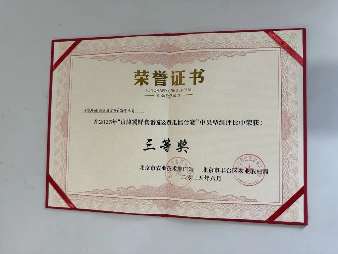 番茄三等奖-金娃农业.jpg